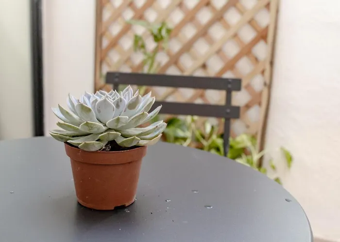 Stylish Corner Maisonette - Sunflower Case de vacanță *